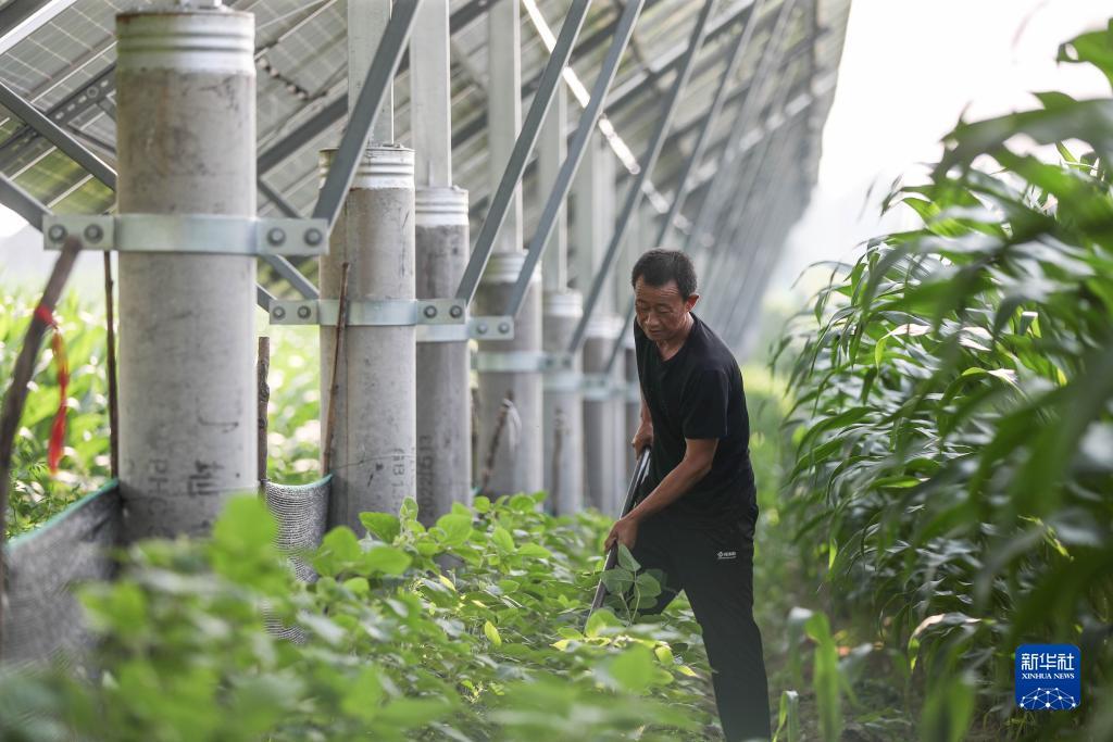 新开户送白菜网址大全
